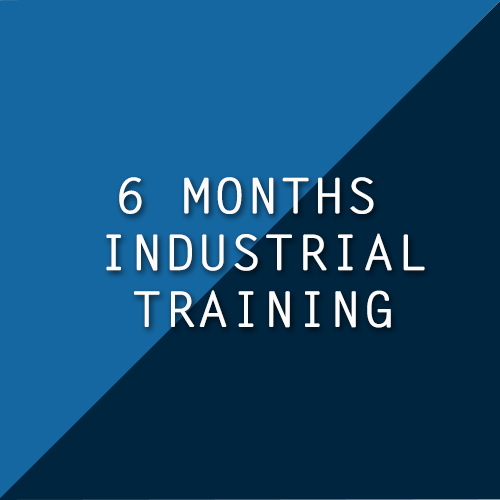 6 months Industrial Training